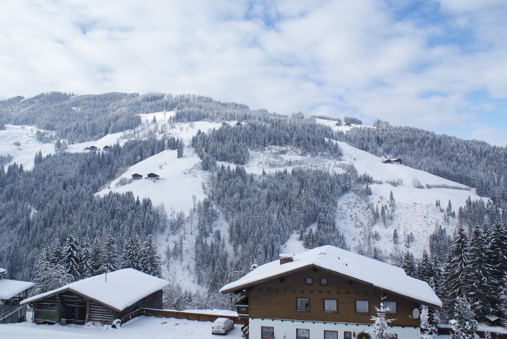 Pension Chalet Bergseegut Wagrain Extérieur photo