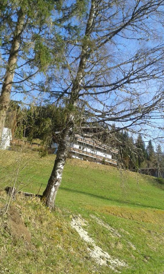 Pension Chalet Bergseegut Wagrain Extérieur photo