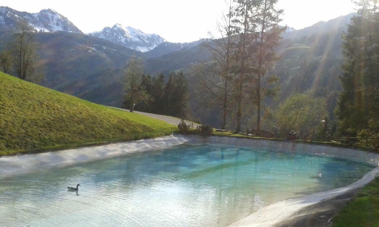 Pension Chalet Bergseegut Wagrain Extérieur photo