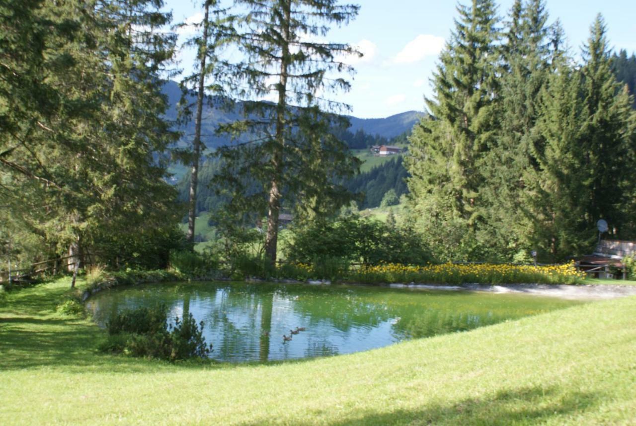 Pension Chalet Bergseegut Wagrain Extérieur photo