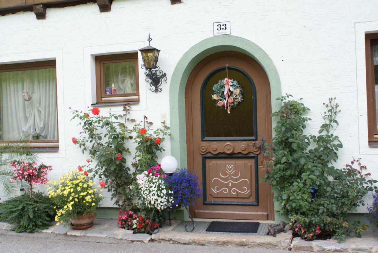 Pension Chalet Bergseegut Wagrain Extérieur photo