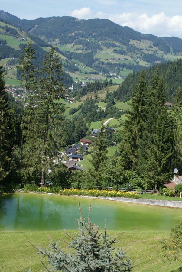 Pension Chalet Bergseegut Wagrain Extérieur photo