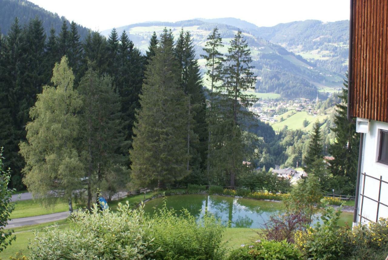 Pension Chalet Bergseegut Wagrain Extérieur photo