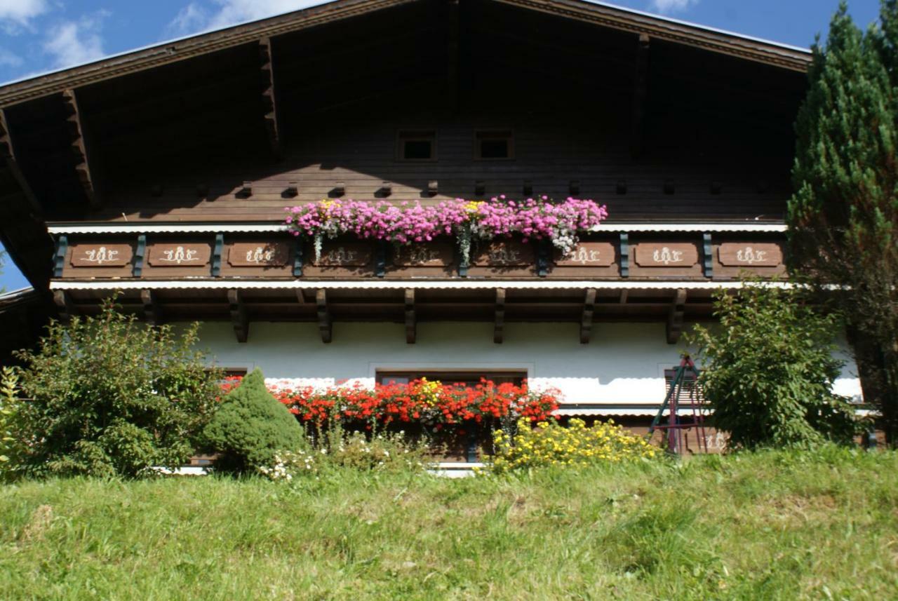 Pension Chalet Bergseegut Wagrain Extérieur photo
