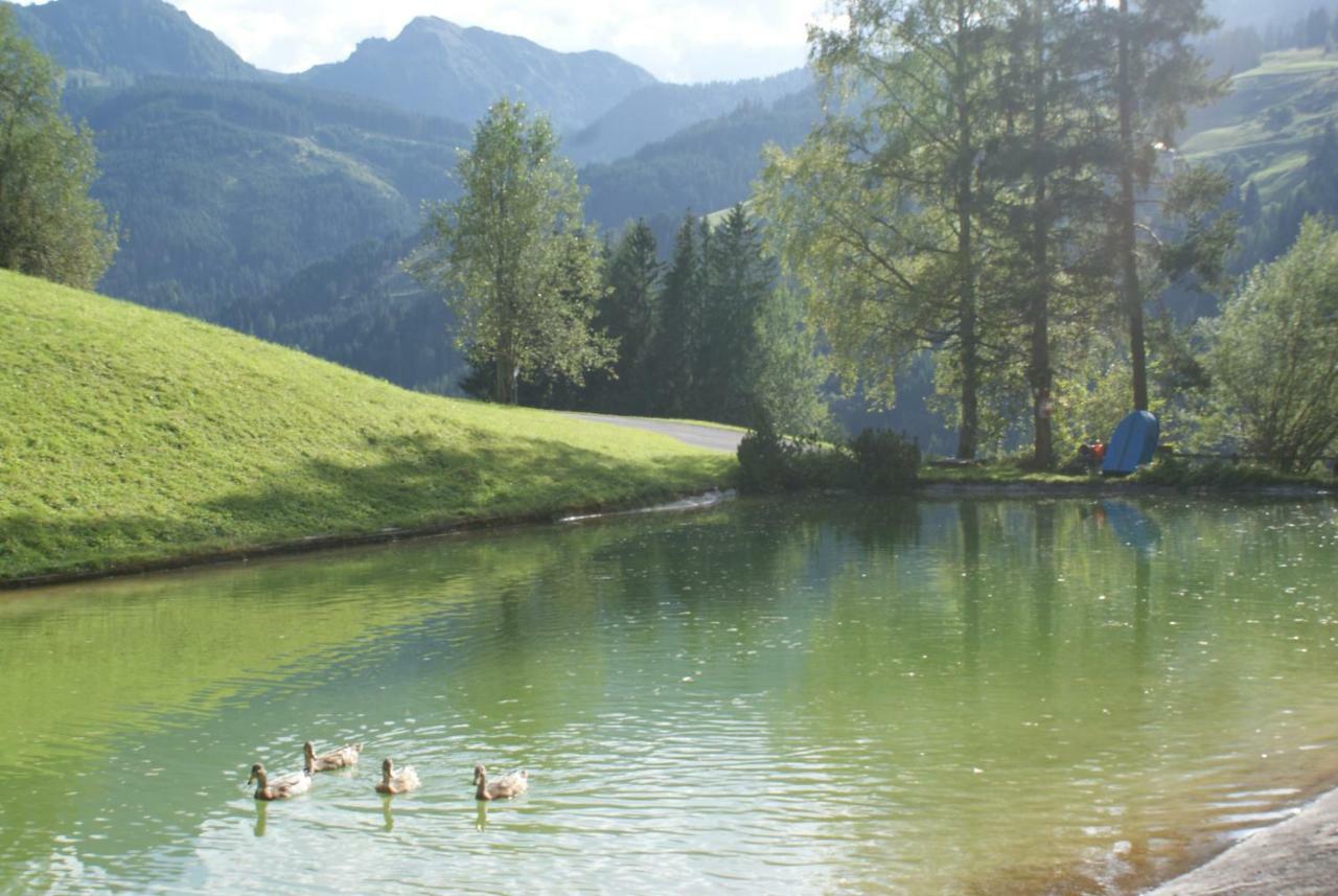 Pension Chalet Bergseegut Wagrain Extérieur photo