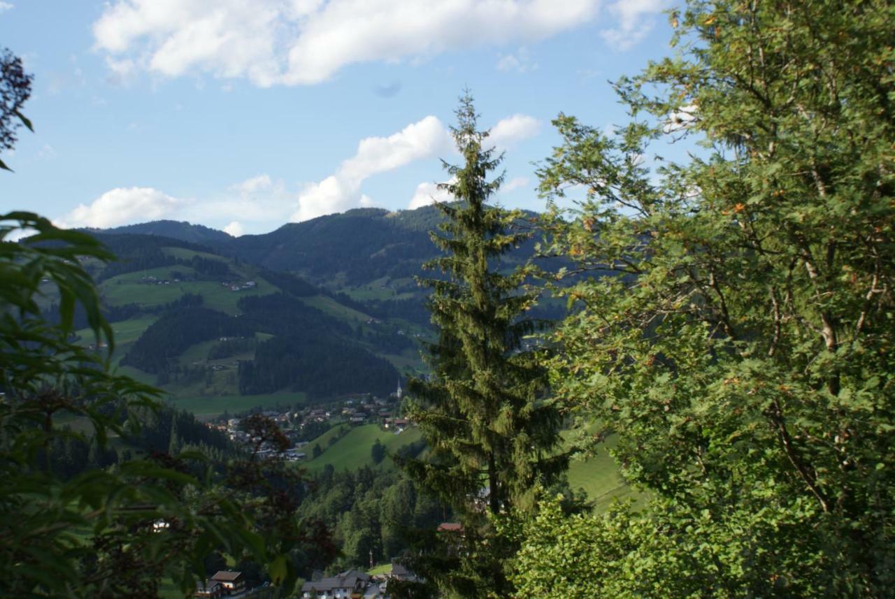 Pension Chalet Bergseegut Wagrain Extérieur photo
