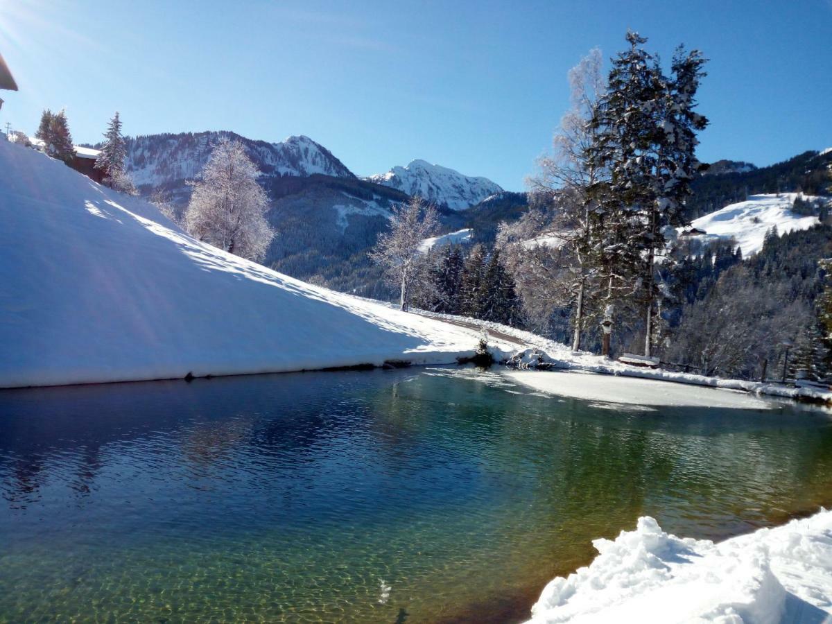 Pension Chalet Bergseegut Wagrain Extérieur photo