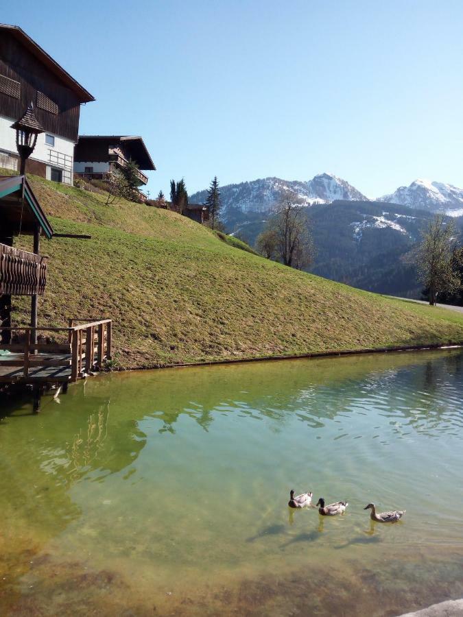 Pension Chalet Bergseegut Wagrain Extérieur photo